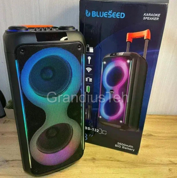 Портативна колонка, Blueseed, блютуз колонка, портативна акустика для вечірок, колонка з usb і tf картою, bluetooth колонка 5.0, потужна портативна колонка TTD-2821 фото