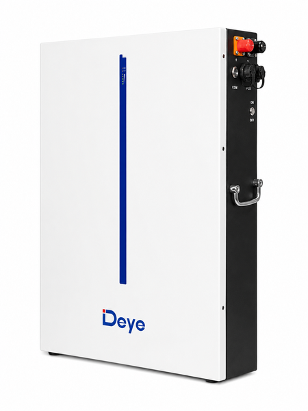 Акумулятор&nbsp;Deye, батарея&nbsp;48 В,&nbsp;LiFePO4 Deye, акумуляторна батарея 6000 Вт, автономне живлення RW-M6.1-B фото