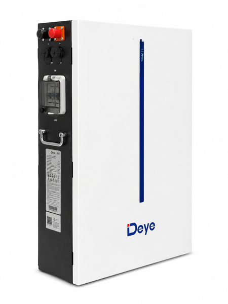 Акумулятор&nbsp;Deye, батарея&nbsp;48 В,&nbsp;LiFePO4 Deye, акумуляторна батарея 6000 Вт, автономне живлення RW-M6.1-B фото